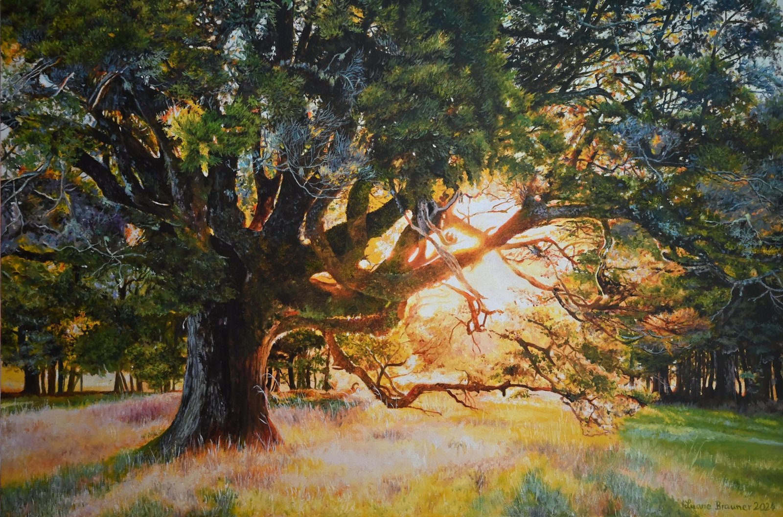 Canaan — Tākaka Hill