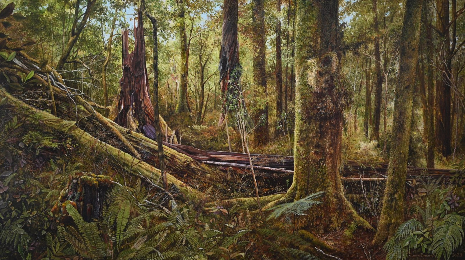 Crow Hut — Kahurangi National Park