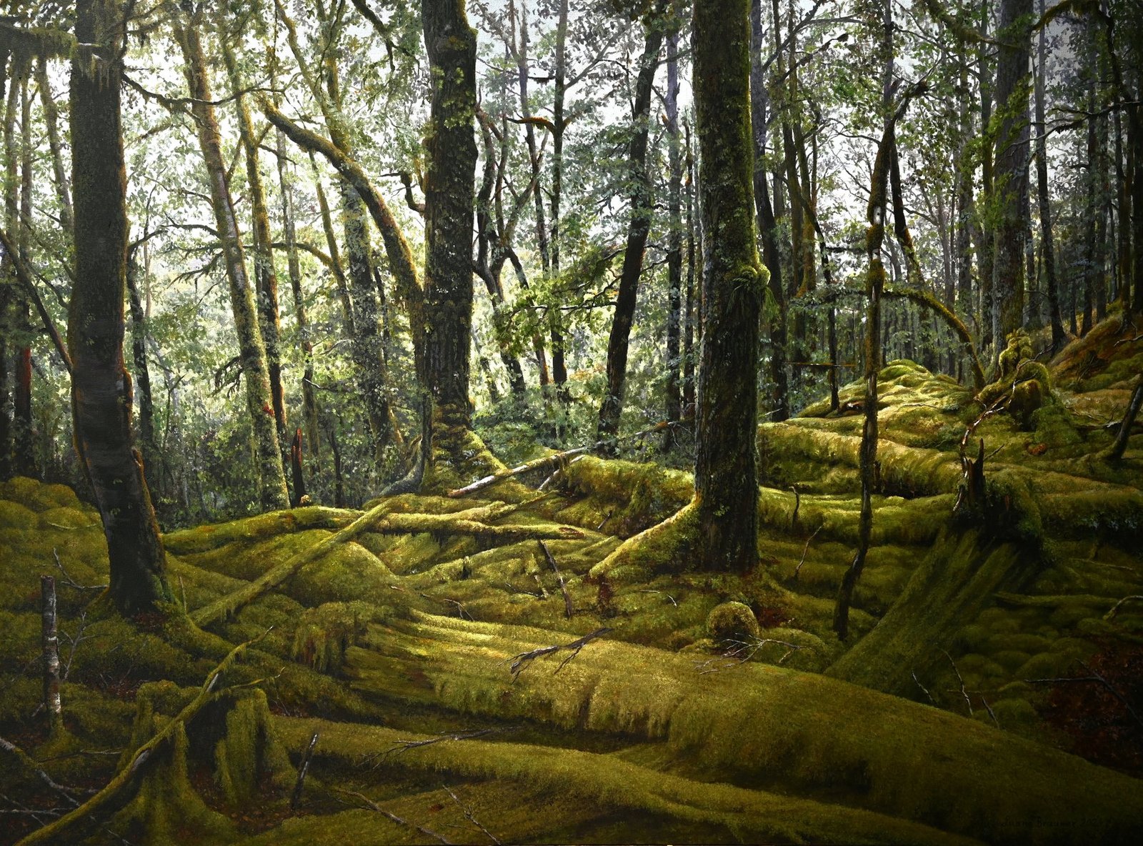 Haast Pass Moss Floor