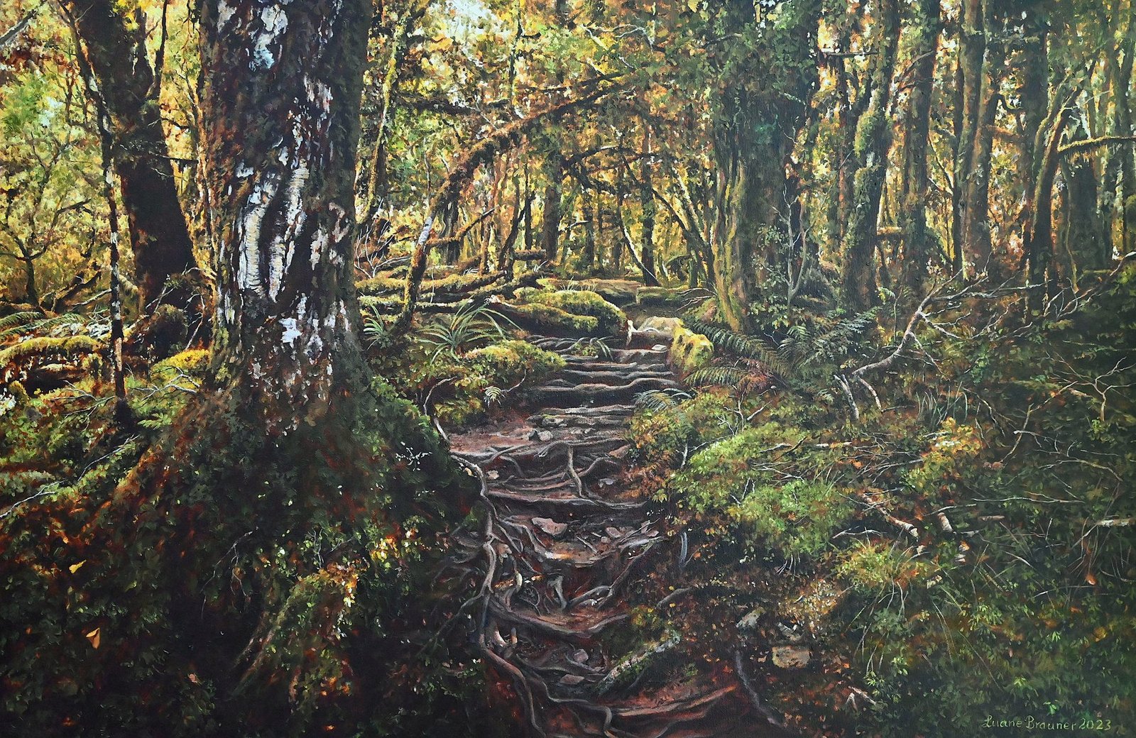 Lake Marian Track — Fiordland National Park