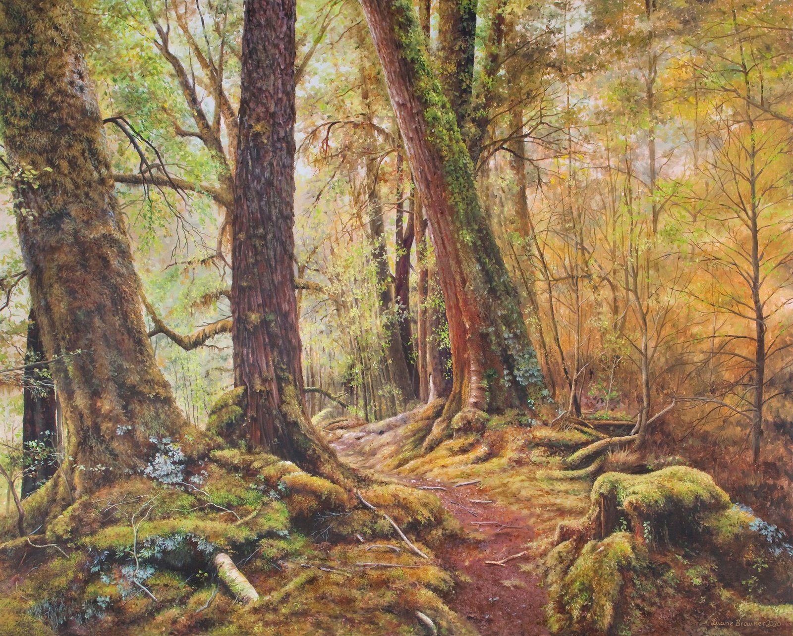 Leslie Karamea Track — Kahurangi National Park