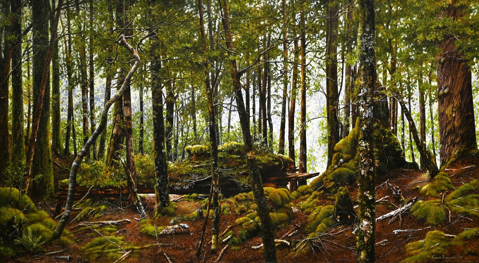 Te Horowai — Nelson Lakes National Park